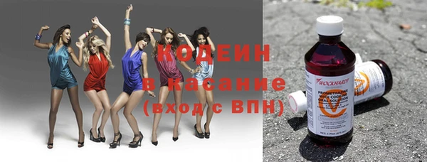 прущие грибы Горняк