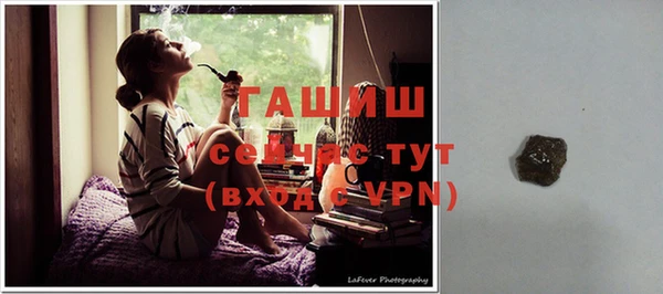 прущие грибы Горняк
