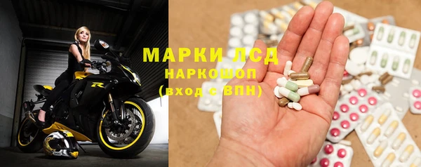 прущие грибы Горняк