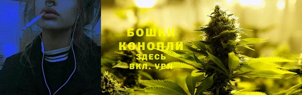 прущие грибы Горняк