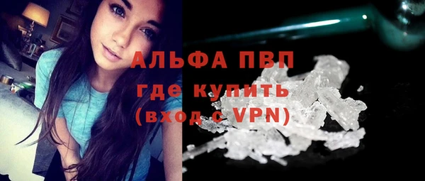 прущие грибы Горняк