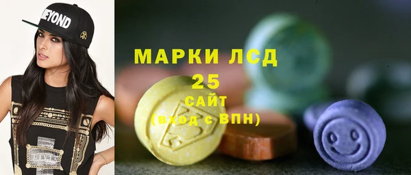 прущие грибы Горняк