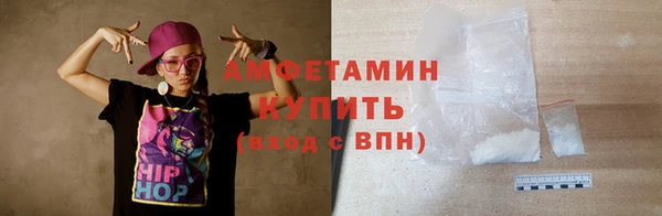 прущие грибы Горняк