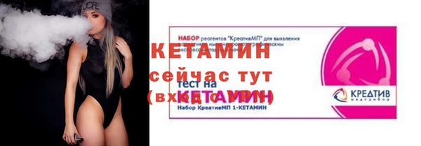 прущие грибы Горняк