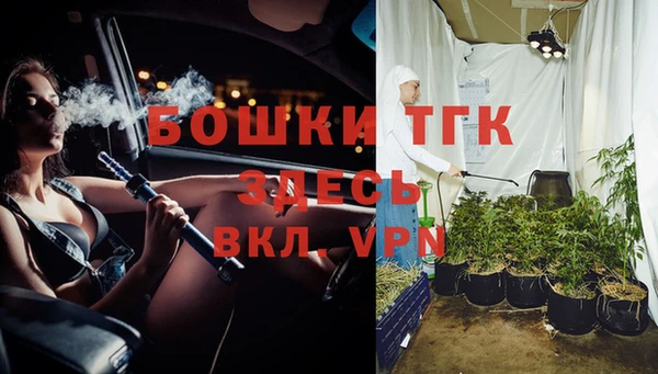 прущие грибы Горняк