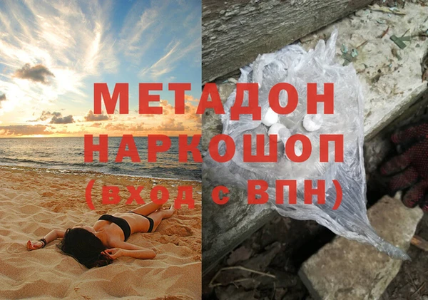прущие грибы Горняк