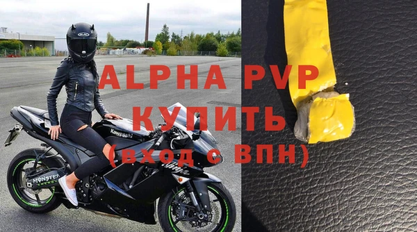 прущие грибы Горняк