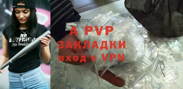 прущие грибы Горняк