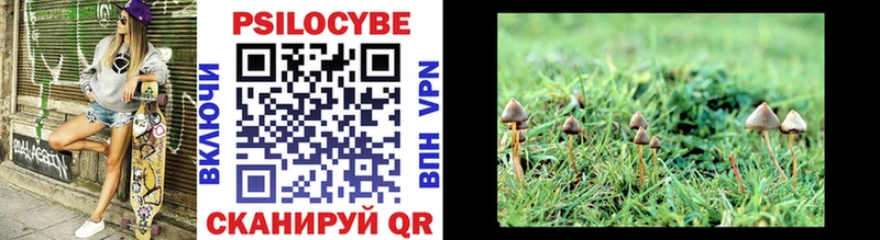 где купить   Мостовской  Галлюциногенные грибы Cubensis 